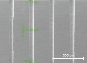 BF33, 0.7 mm, cross-section